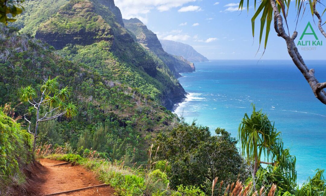 Kauai Insider Tips & Island Updates