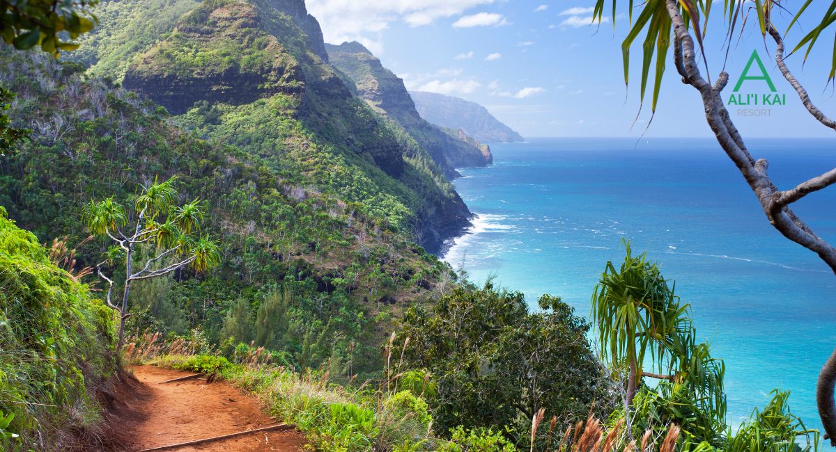 Kauai Insider Tips & Island Updates