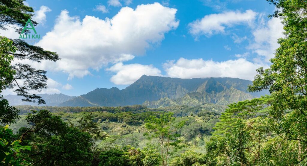 Makaleha Mountains