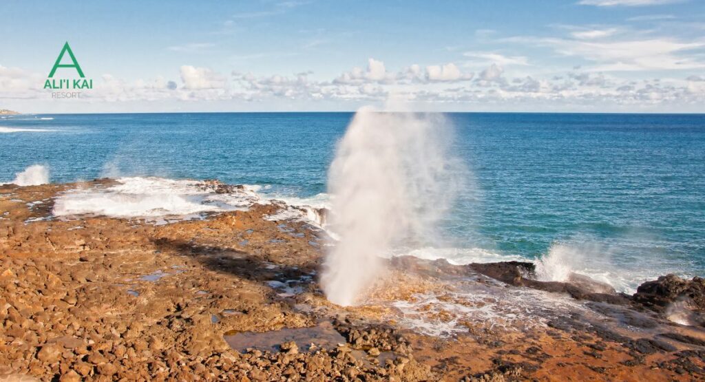 Spouting Horn