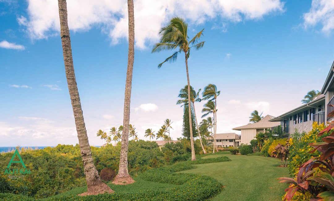 Discover Unique Experiences at Ali’i Kai Resort in 2025