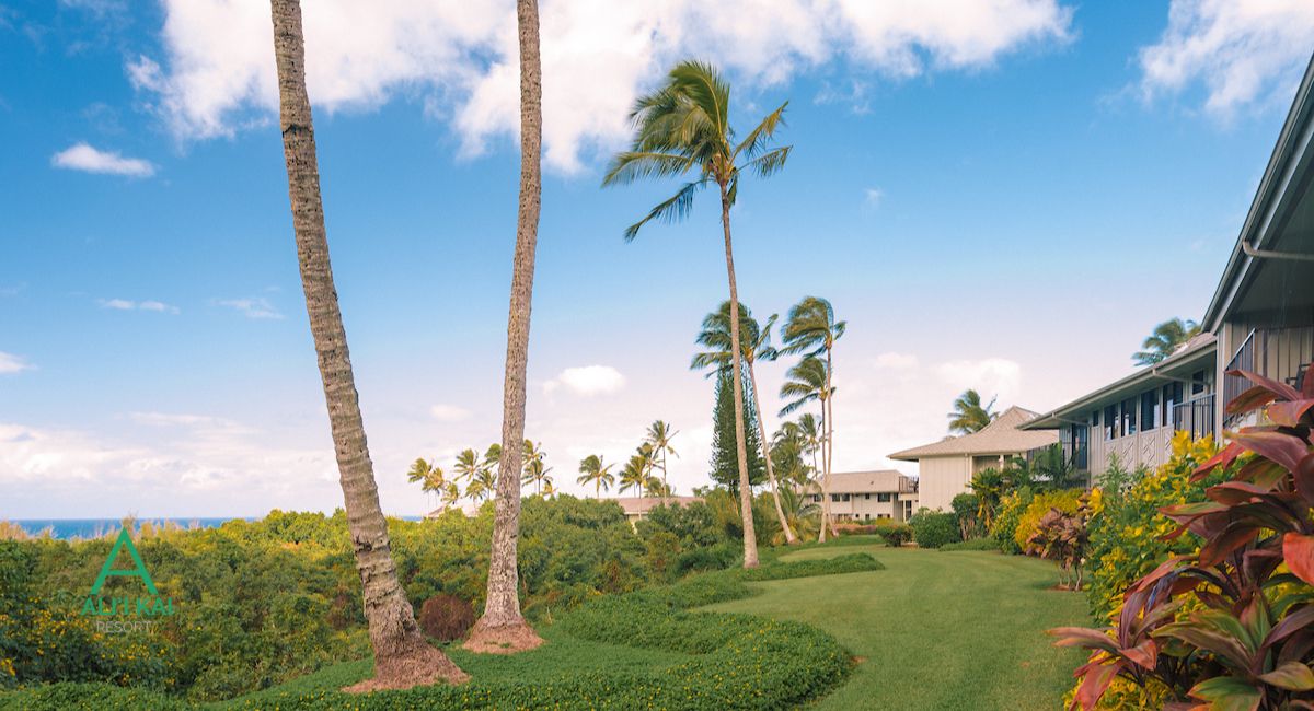 Discover Unique Experiences at Ali’i Kai Resort in 2025